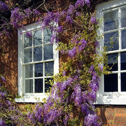 Double Glazed Windows